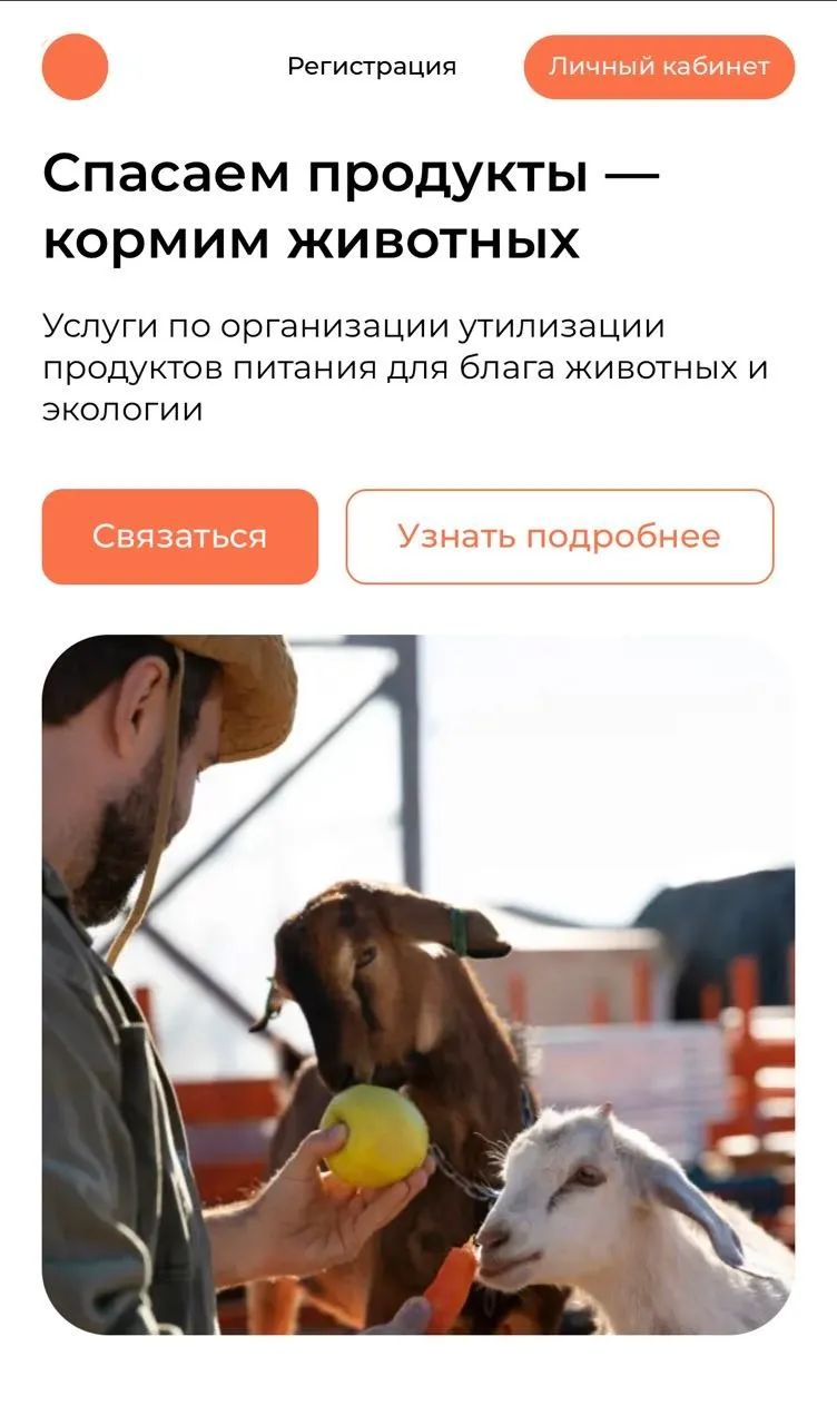 Превью работы мобильная версия - 29